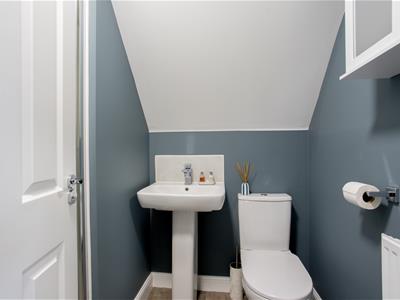 Picture 19